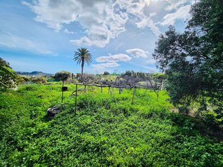 Terreno en venta en Ingenio en Ingenio