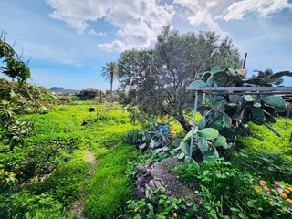 Terreno en venta en Ingenio en Ingenio