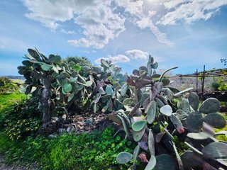 Terreno en venta en Ingenio en Ingenio
