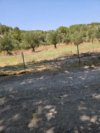 Finca 12000 m2
