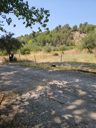 Finca 12000 m2