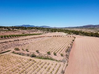 Terreno en venta en Pinós