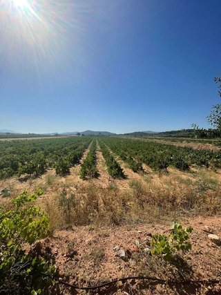 Terreno en venta en Pinós