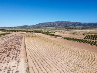 Terreno en venta en Pinós