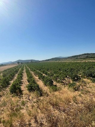 Terreno en venta en Pinós