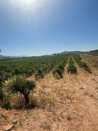 Terreno en venta en Pinós