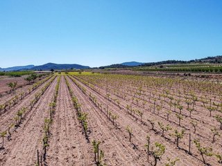 Terreno en venta en Pinós