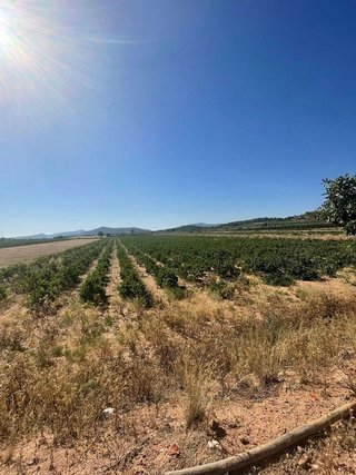Terreno en venta en Pinós