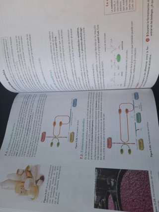 Biología 2º Bachillerato. Libro del estudiante....