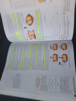 Biología 2º Bachillerato. Libro del estudiante....