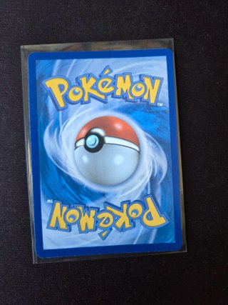 Carta Pokémon Coreana Squirtle 170/165 AR