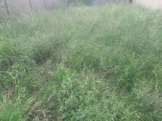 Terreno en venta en Artés