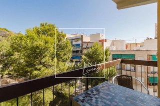 Estudio en alquiler en Campoamor en Alicante