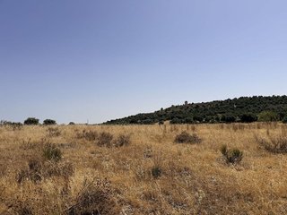 Terreno en venta en Pedrezuela
