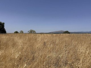 Terreno en venta en Pedrezuela