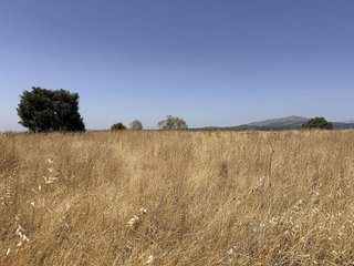 Terreno en venta en Pedrezuela