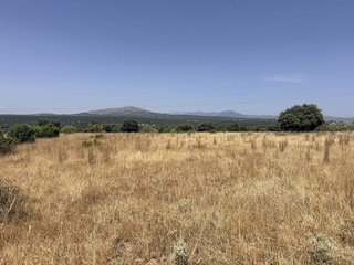 Terreno en venta en Pedrezuela