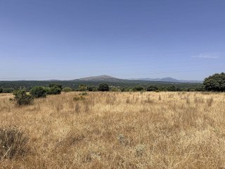 Terreno en venta en Pedrezuela