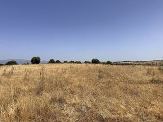 Terreno en venta en Pedrezuela