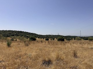Terreno en venta en Pedrezuela