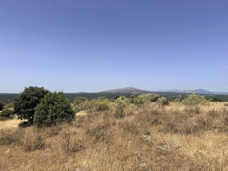 Terreno en venta en Pedrezuela