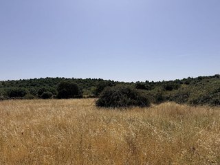 Terreno en venta en Pedrezuela