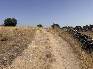 Terreno en venta en Pedrezuela