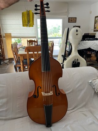 Viola da gamba Jacob Steiner