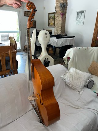 Viola da gamba Jacob Steiner