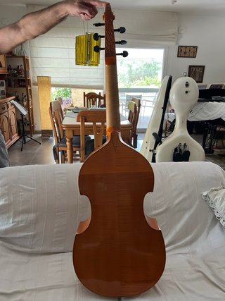 Viola da gamba Jacob Steiner