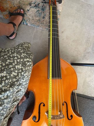 Viola da gamba Jacob Steiner