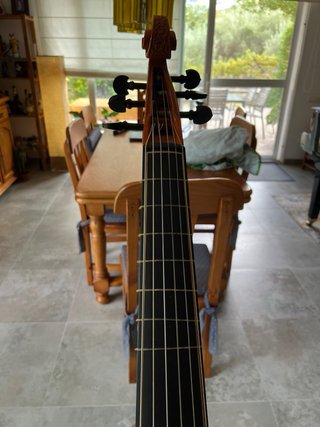 Viola da gamba Jacob Steiner