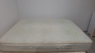 Colchón matrimonial queen size