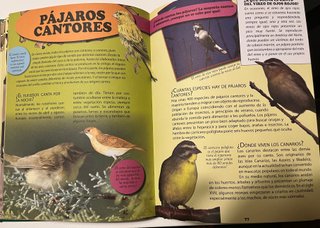 El maravilloso mundo de los animales