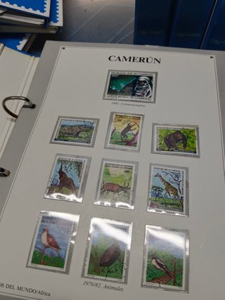 coleccion, SELLOS DEL MUNDO. 8 ARCHIVADORES con fichas y sellos de cada pais, COMPLETA. ORBIS FABBRI