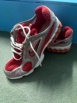 Zapatillas Nike Running Rojas y Plateadas