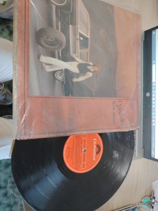 Vinilo Salvador Raza-pecado