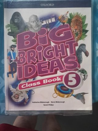 Big Bright Ideas 5. Class Book