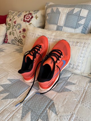 Nike Air Zoom Pegasus 41 Talla 42.5