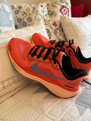 Nike Air Zoom Pegasus 41 Talla 42.5