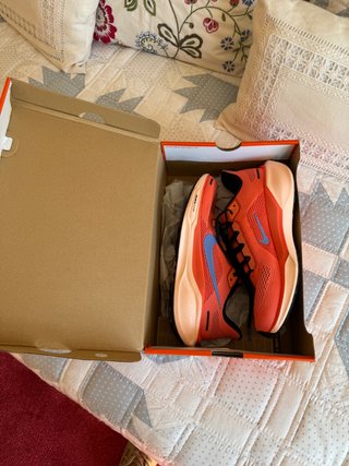 Nike Air Zoom Pegasus 41 Talla 42.5