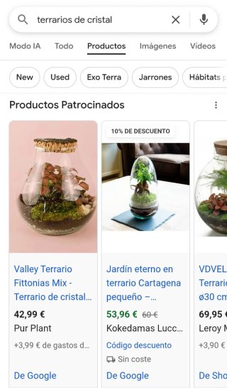 Jarrón/terrario vidrio para plantas