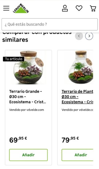 Jarrón/terrario vidrio para plantas