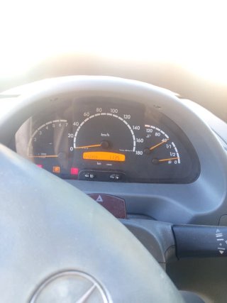 Mercedes-Benz Sprinter 2006 para caballos