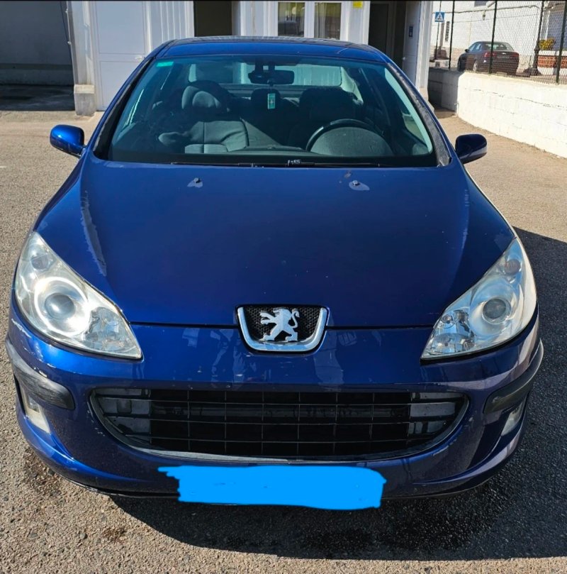 Peugeot 407 2004 - foto 1
