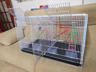 Jaula grande para pájaros - 2 meses de uso