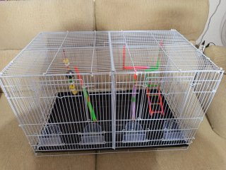 Jaula grande para pájaros - 2 meses de uso
