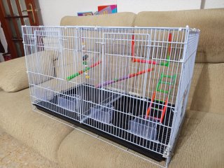 Jaula grande para pájaros - 2 meses de uso