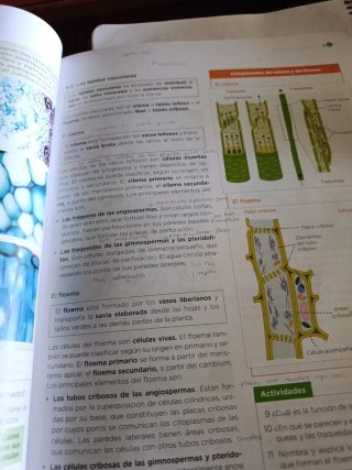 Biología, Geología y Ciencias Ambientales 1 Bac...