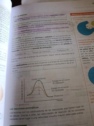 Biología, Geología y Ciencias Ambientales 1 Bac...